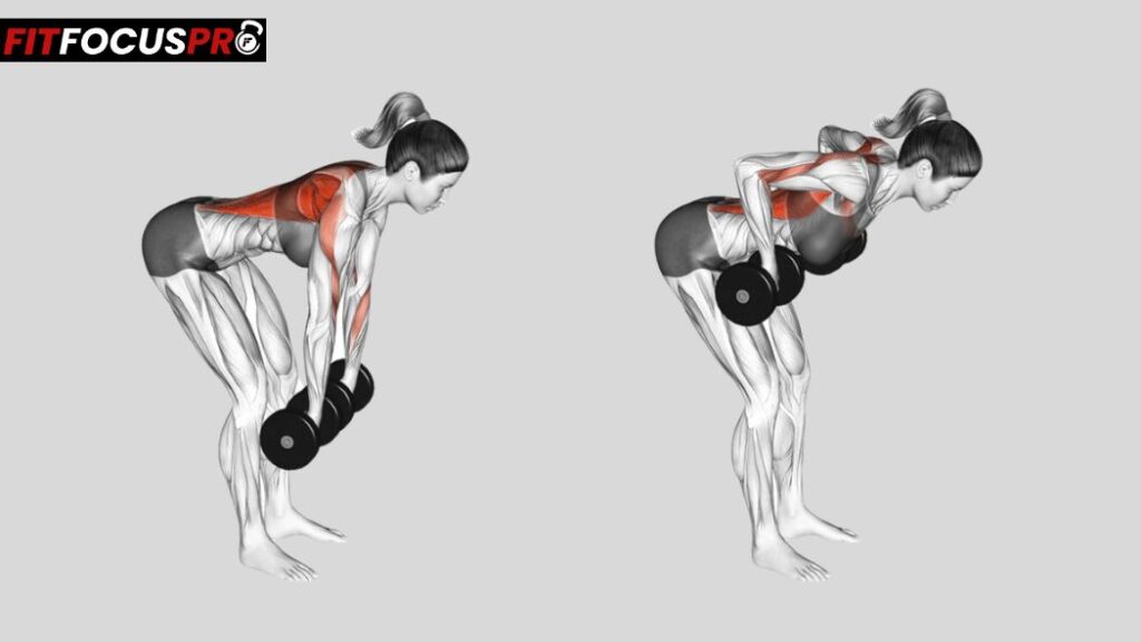 Rowing avec Haltères : Exercice pour Renforcer le Dos
