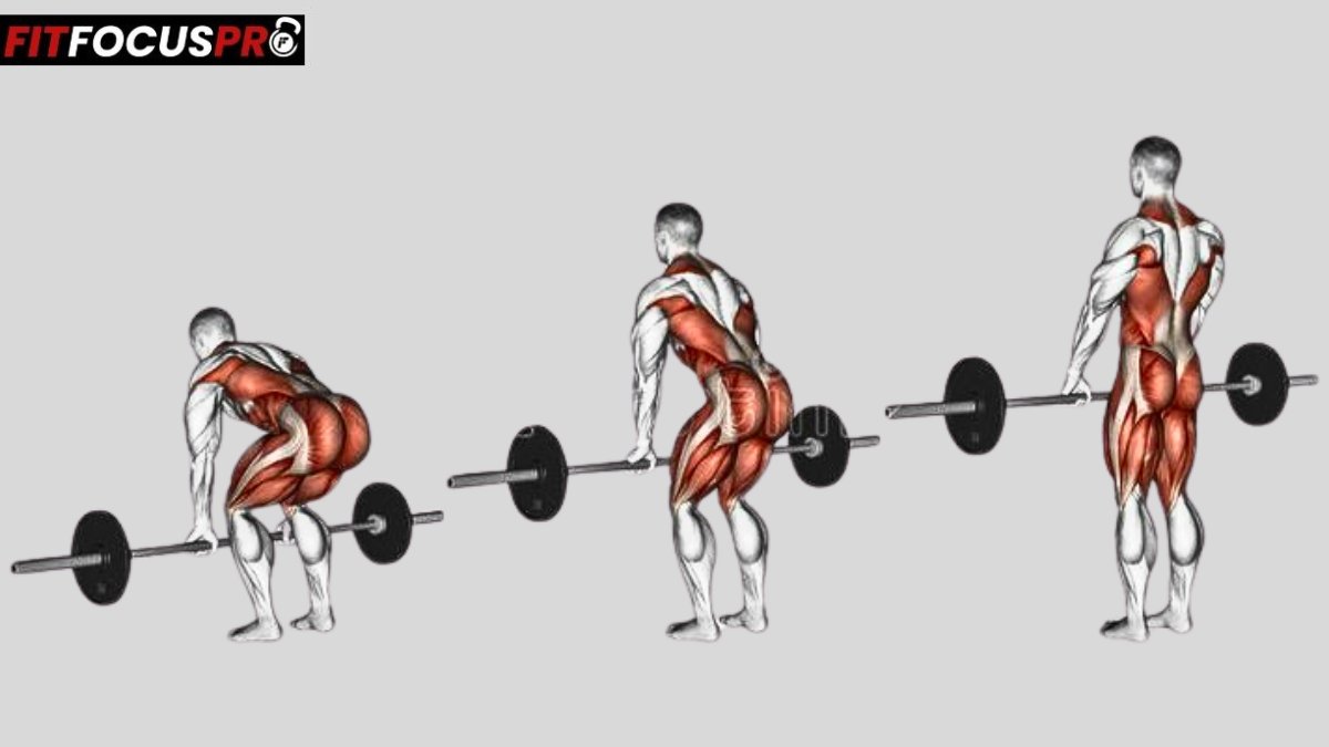 Deadlift (Trapèze complet)