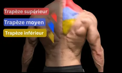 Top 5 des exercices trapèze avec haltères