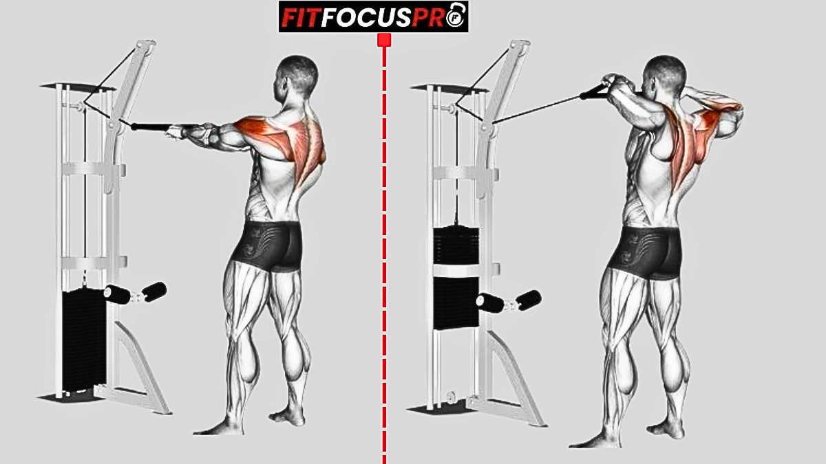 Face Pull (Inférieur & Moyen Trapèze)