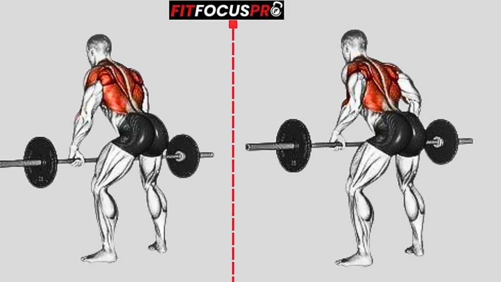 Rowing barre (Moyen & inférieur Trapèze)