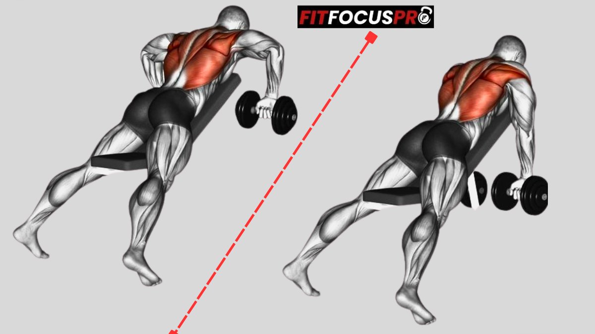 Y-Raise (Trapèze inférieur)