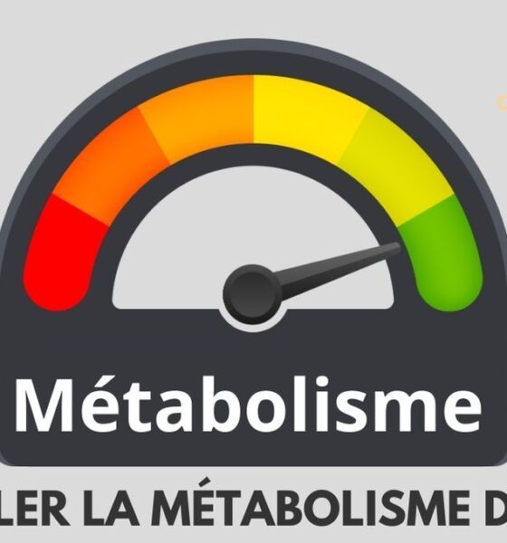 calculer-la-metabolisme-de-base