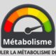 calculer-la-metabolisme-de-base